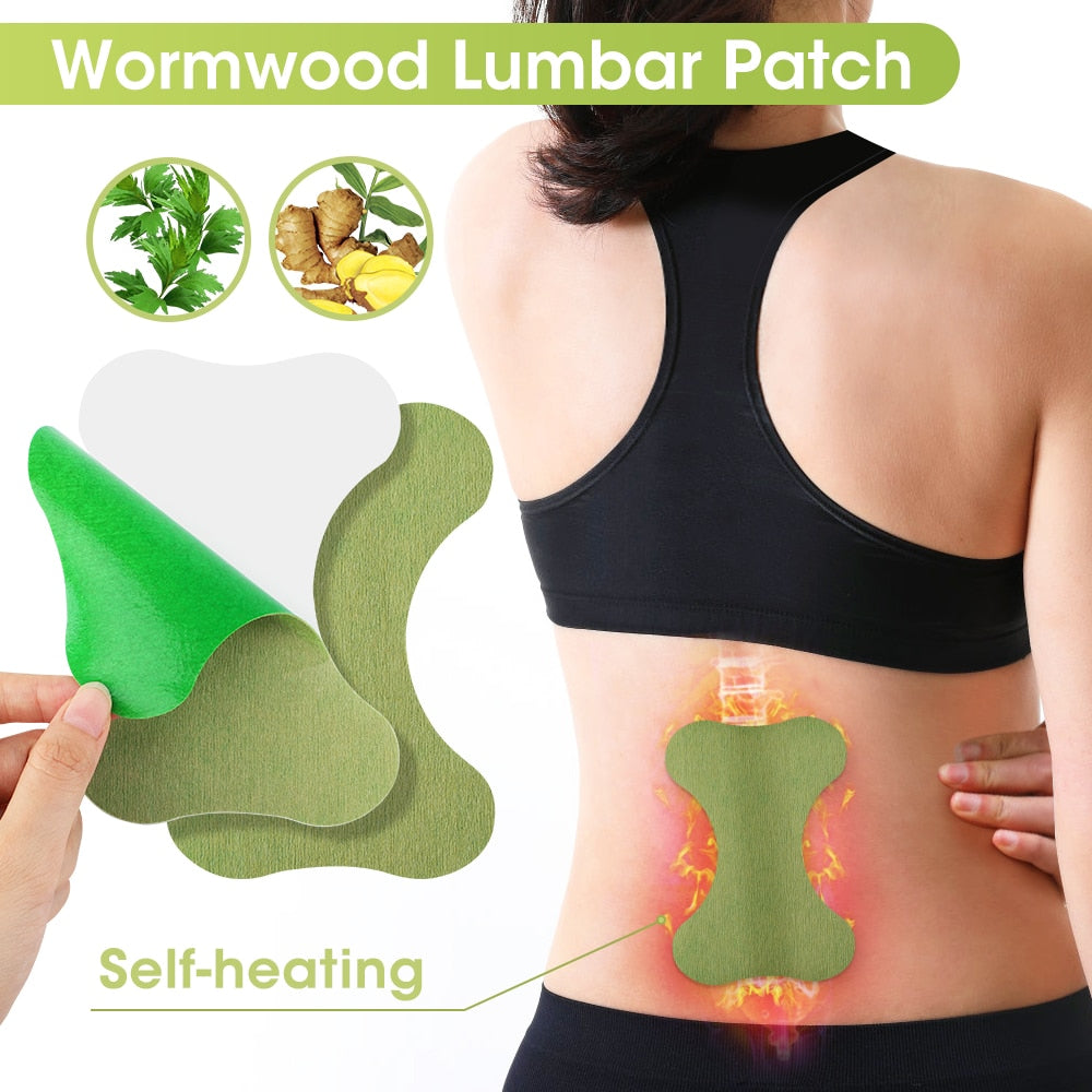 Wormwood Detox Foot Patches, Foot and Body Care Pads.